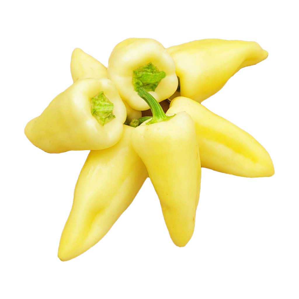 Somborka frische  Paprika 5 kg aus dem Kosovo MHD 20.09.26