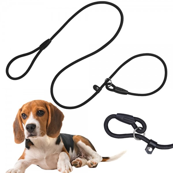 Verhaltensleine für Hunde mit Seilhalsband