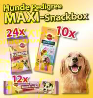 Hunde MAXI SNACKBOX Hunde MAXI SNACKBOX Pedigree 3x Jumbone Mini + Jumbone Maxi + DentaStix =8,66 kg