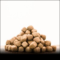 Hundefutter Trockenfutter für Hunde Ente und Lachs 15 kg MHD:8.3.25