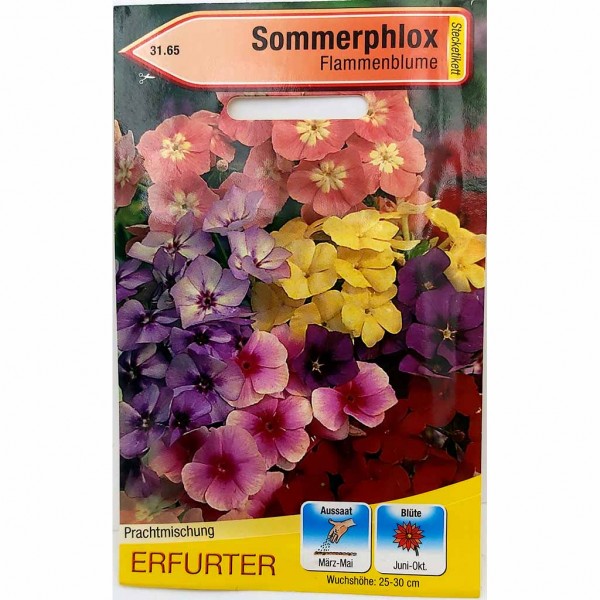 Tom Garten Samen für Sommerphlox Flammenblume